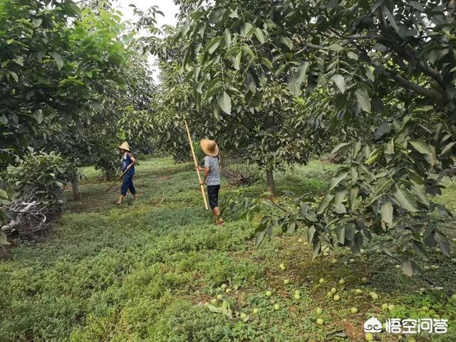 小红书生态营销
:原生态的农产品，销售渠道在哪里呢？