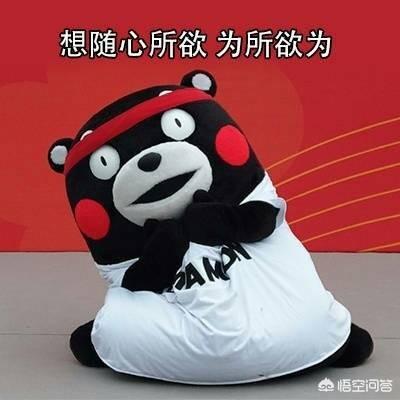 小红书ip营销
:如何打造一个爆款IP？