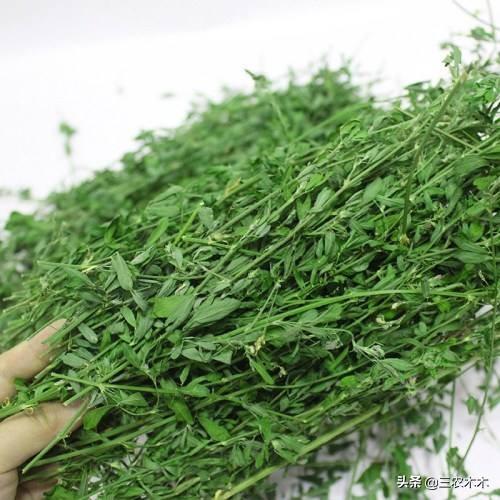 小红书种草销售
:在农村种植野草有前景不？怎么销售出去？