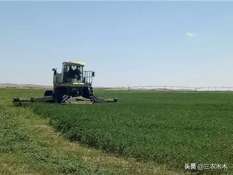 小红书种草销售
:在农村种植野草有前景不？怎么销售出去？
