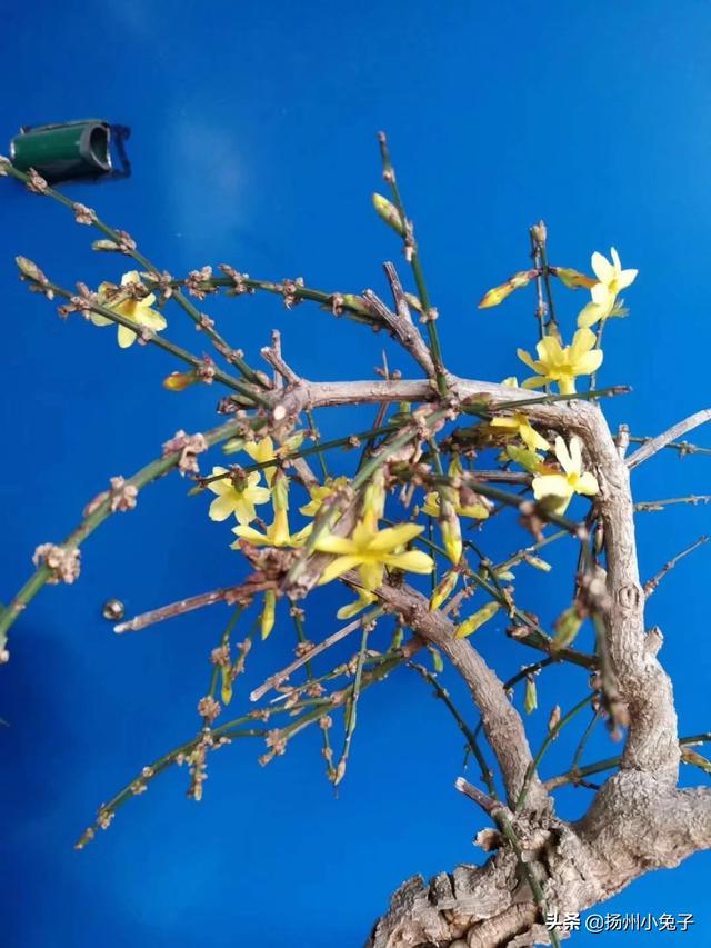 小红书推广靠谱吗
:做小说推广真的能赚钱么？