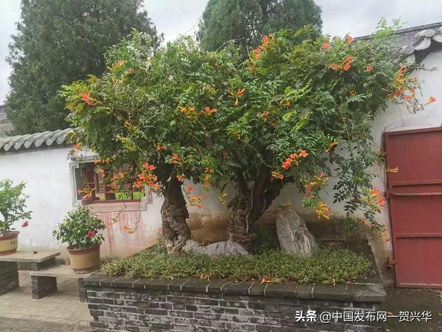 小红书广告方式
:怎样帮APP做广告？