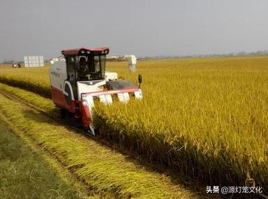 抖音几点投放热门
:发抖音热门的最佳时间是几点？