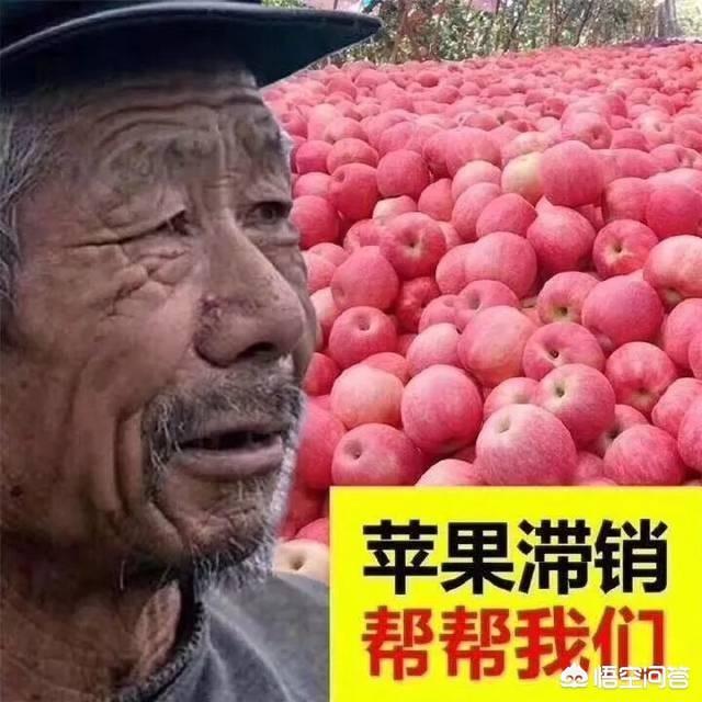 怎么样可以在抖音上卖东西
:抖音里总是有人发出水果卖不出去，果农坐地里痛哭，为什么就不便宜卖出去？