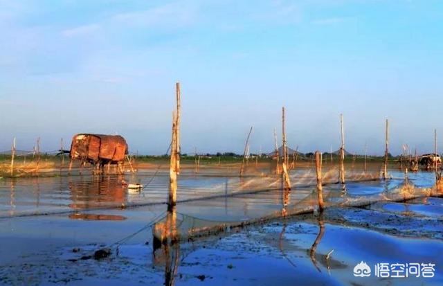 抖音旅游营销
:黄山区的抖音年货节是什么？有旅游路线推荐吗？