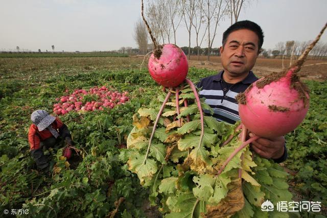 抖音如何营销
:农特产品怎么运用抖音营销？