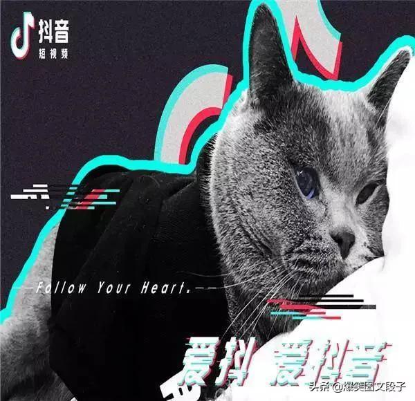 抖音营销词汇
:抖音垂直度和限流有什么内在联系么？