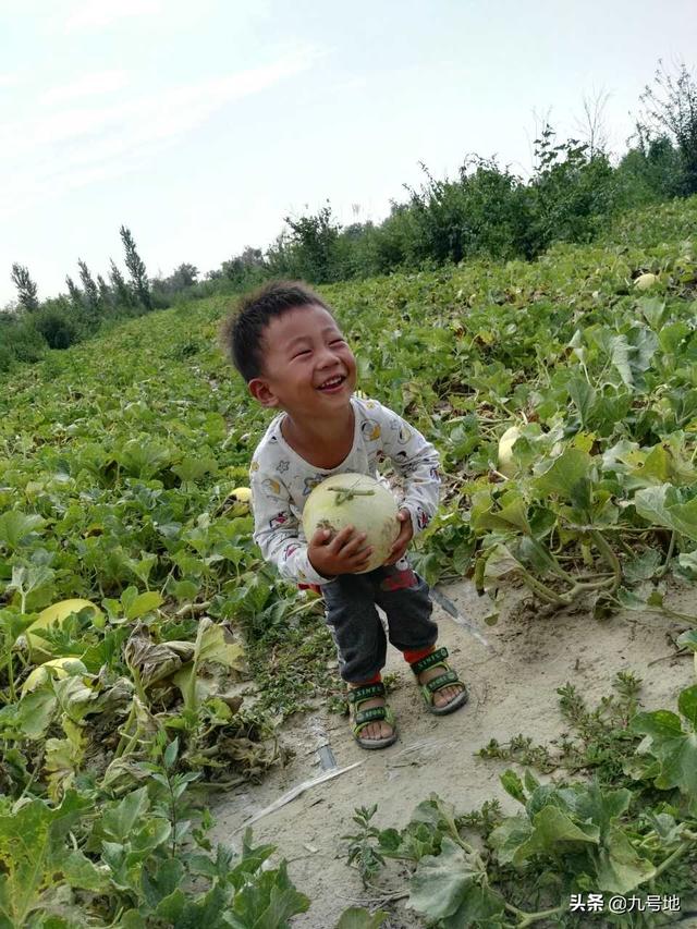 抖音合作营销
:有水果怎么跟电商或平台合作销售?有哪些渠道或方法？
