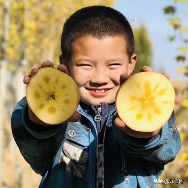 抖音合作营销
:有水果怎么跟电商或平台合作销售?有哪些渠道或方法？