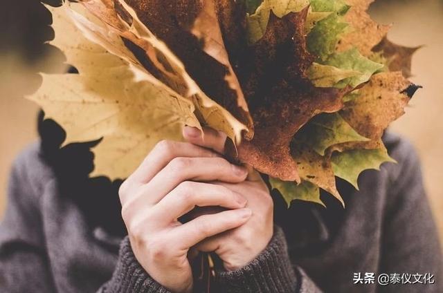 抖音推广是什么
:什么是地推，是指实地推广吗，跟网推比效果如何？