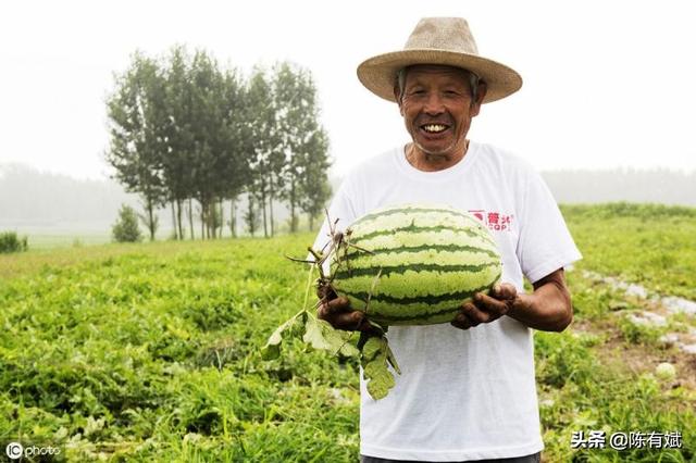 抖音网络销售
:种植西瓜的农民，可以把种植劳作过程拍成抖音视频吗？西瓜成熟时借网络销售可以吗？