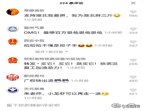 抖音短视频运营方案
:抖音短视频账号运营如何做到日涨粉丝100万？