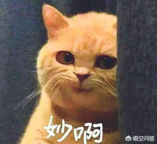 怎么推送抖音上热门
:我新拍的抖音会推送多久。会推送给谁？