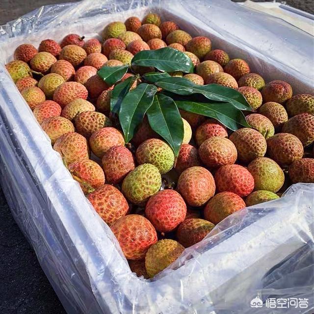 网上营销
:自家农产品怎么在网络上销售？