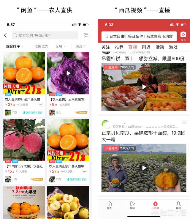 网上营销
:自家农产品怎么在网络上销售？