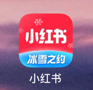 “仰望星空,脚��地�——浅�超级独角兽�红书的�展进程