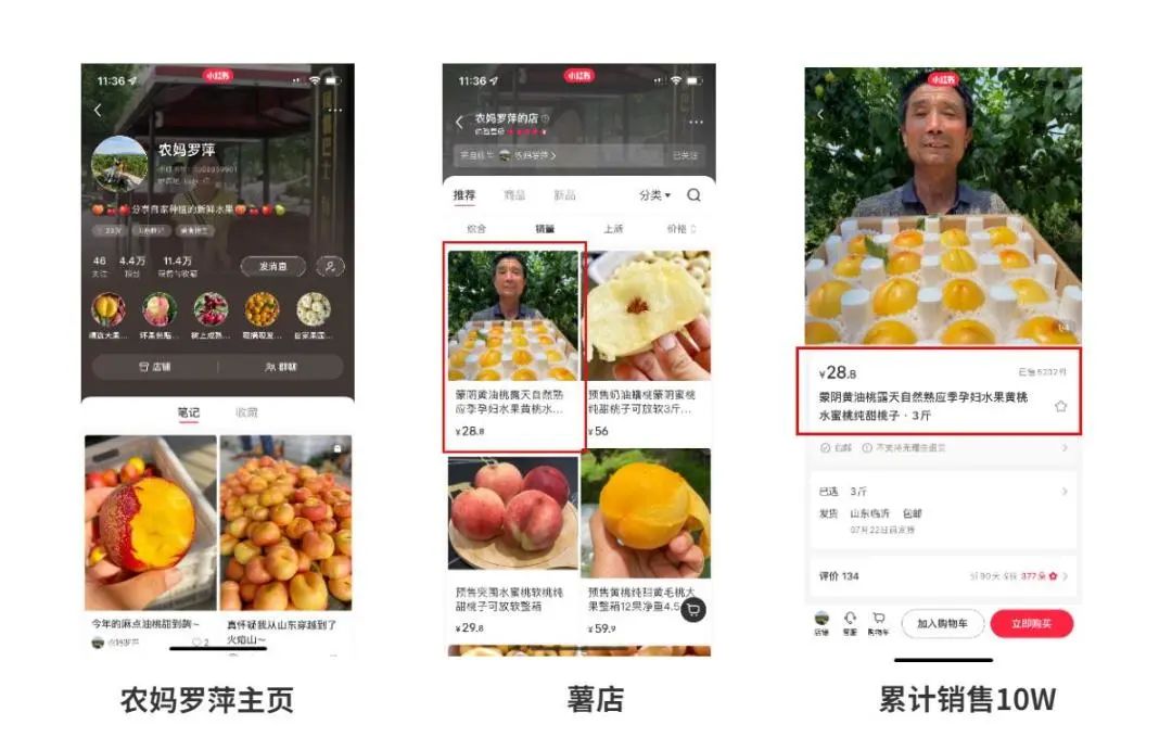 �红书�主如何��?快看这5��红书��方�