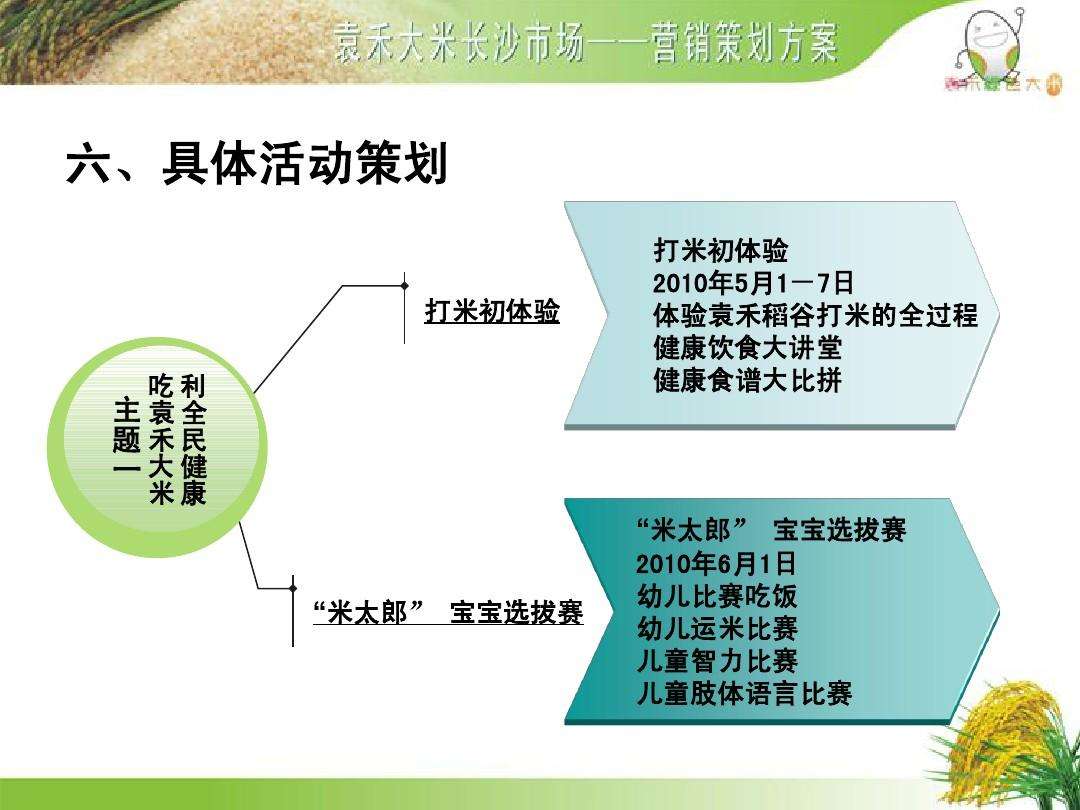 大米营销策划方案(大米营销策划方案怎么做)