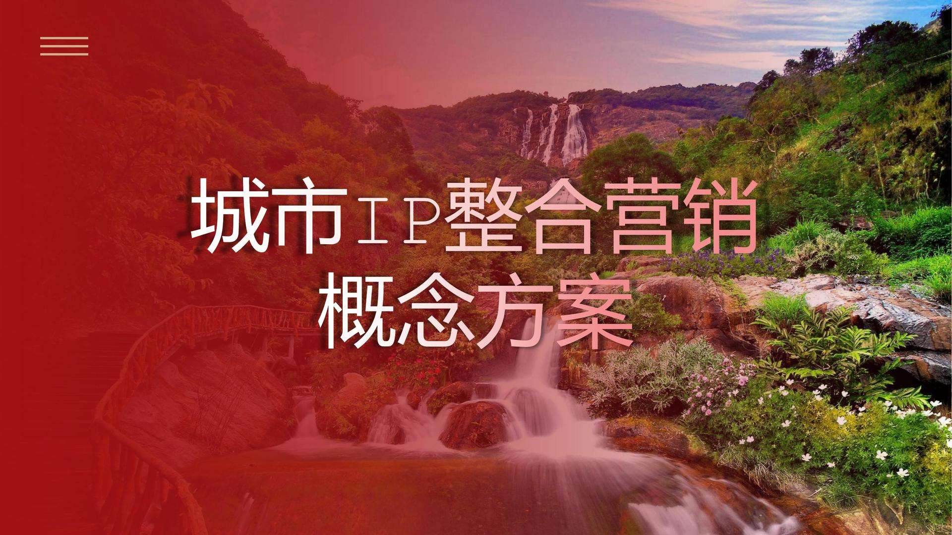 整合营销策划(农产品整合营销策划)