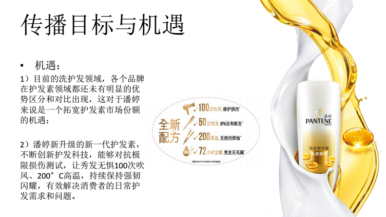 洗护产品营销方案(洗护产品营销方案SWOT分析)