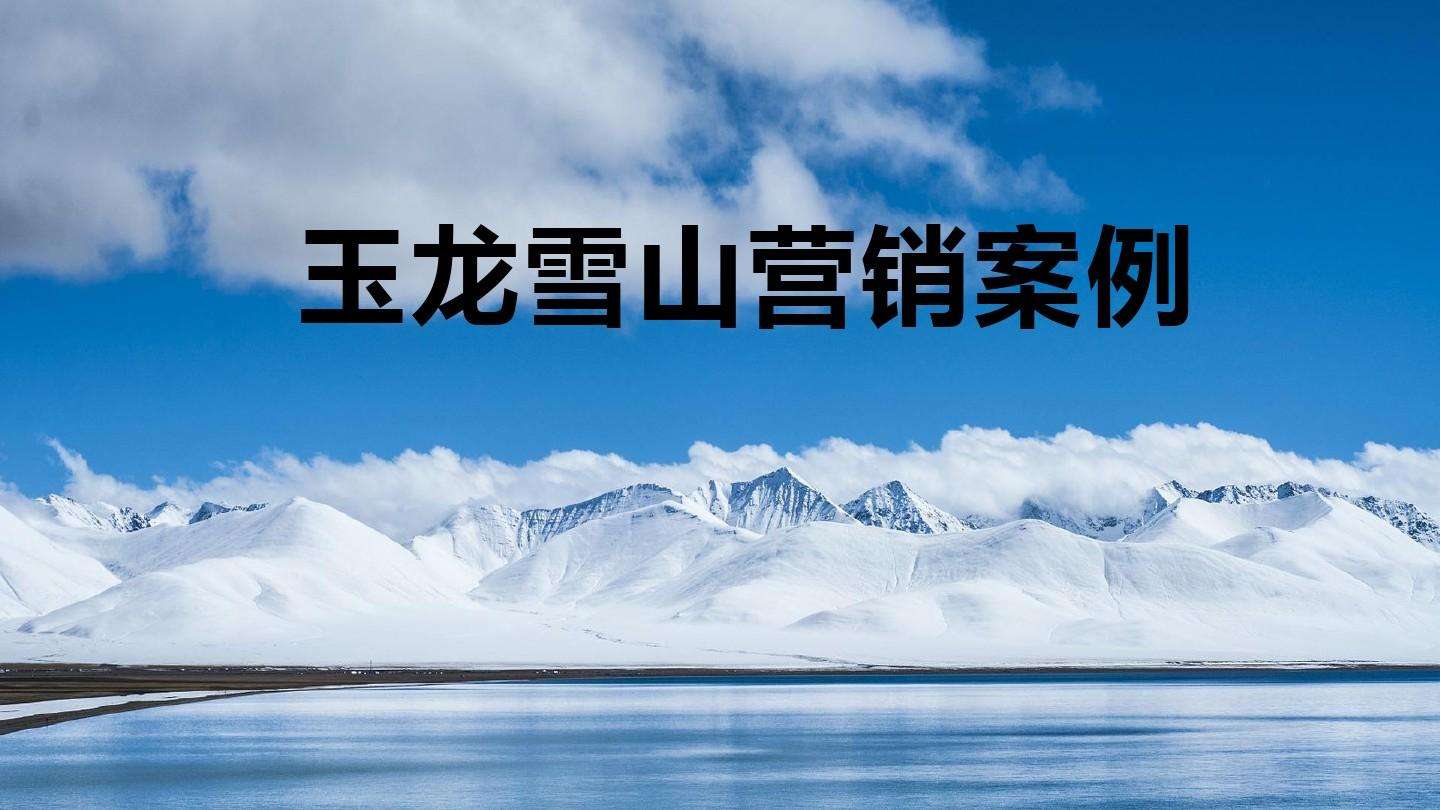 包含服务营销案例100例的词条