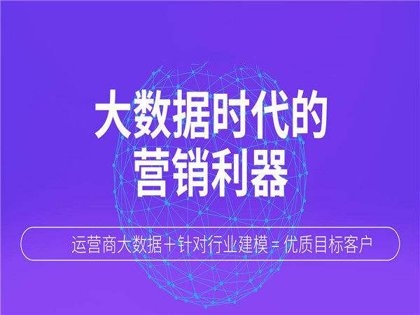 大数据精准营销平台(大数据精准营销平台SaaS)