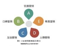 小米营销策略分析(小米营销策略分析论文3000字)