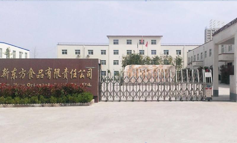 河南前道企业营销策划有限公司(河南全道企业营销策划有限公司王兆锋)