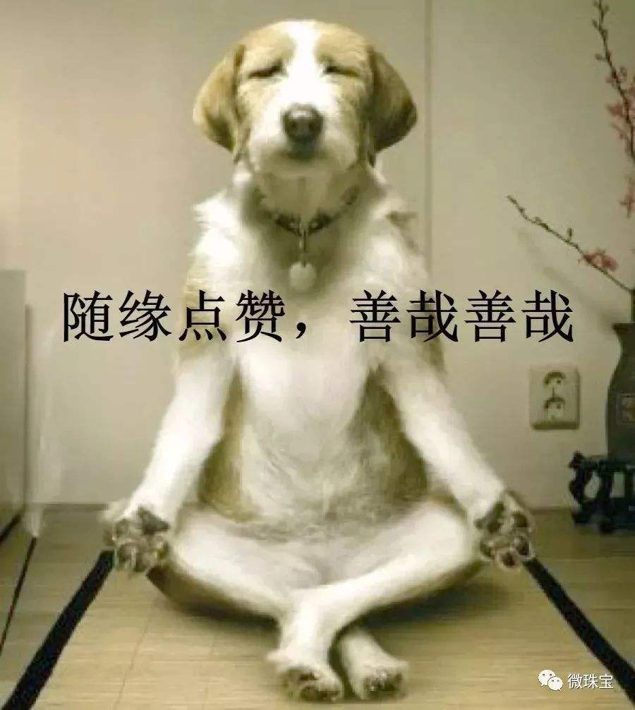什么叫佛系营销(佛系销售是什么意思?)