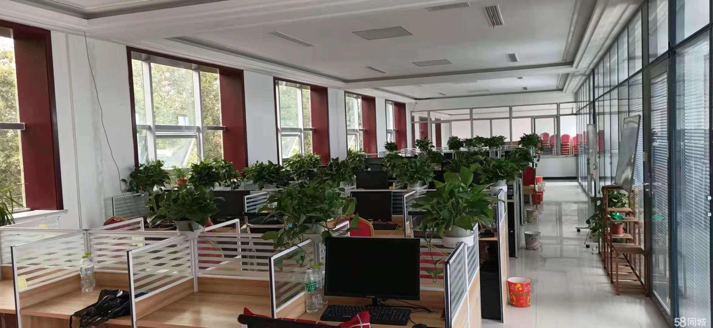 关于资深网络营销专员招聘的信息