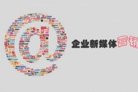 新媒体营销案例(新媒体营销案例有哪些)