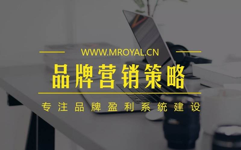 战略品牌营销(品牌战略和营销战略)