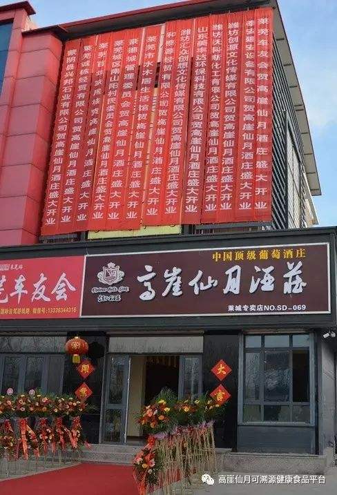 高崖仙月酒庄营销模式(高崖仙月酒庄治疗什么病)