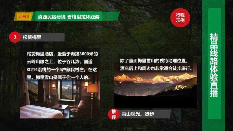 民宿营销策划方案(民宿营销策划方案引言)