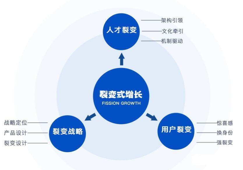 新媒体营销模式(新媒体营销模式案例分析)