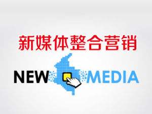 新媒体营销模式(新媒体营销模式案例分析)