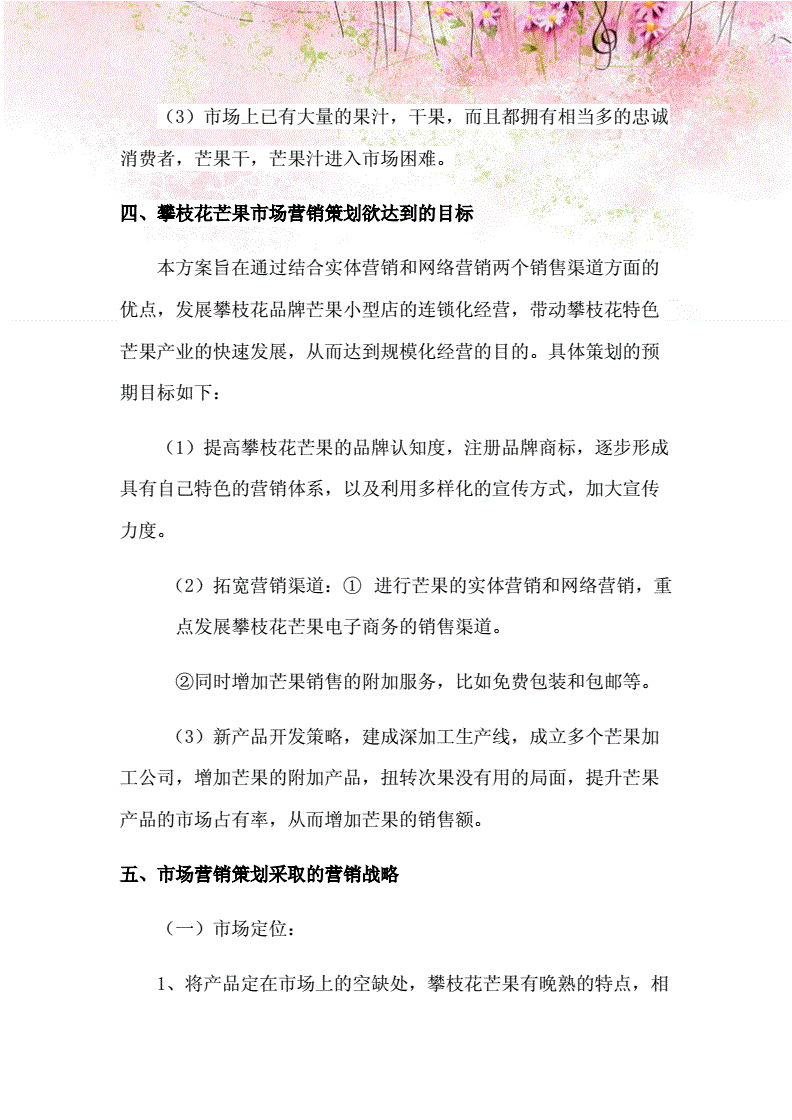 营销策划方案范本(营销策划方案ppt)