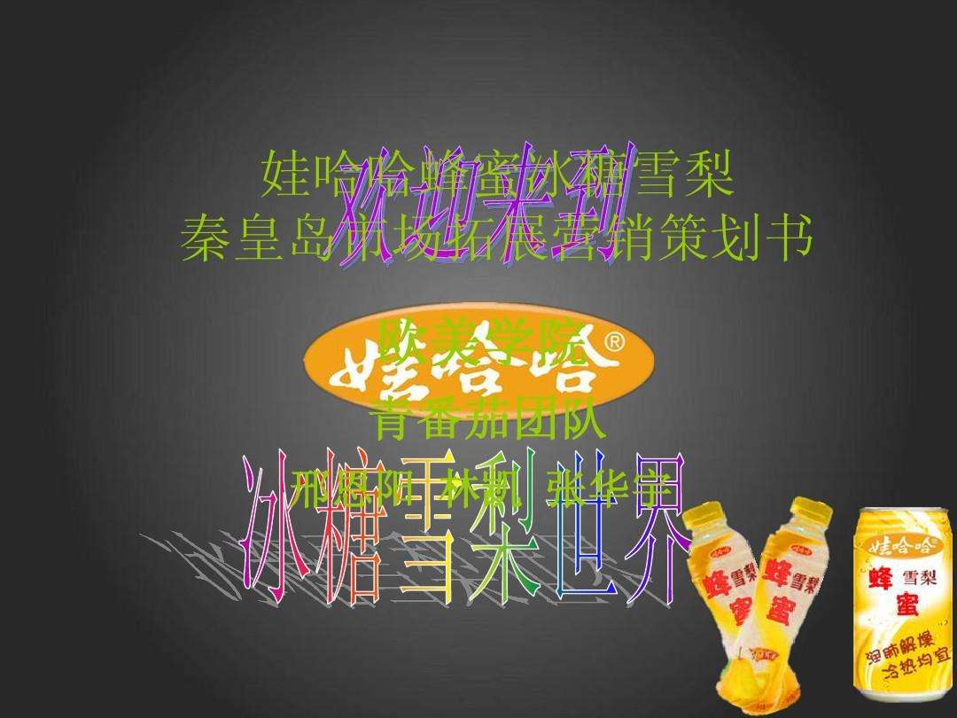 娃哈哈营销大赛策划书(娃哈哈营销大赛策划书目标消费群)