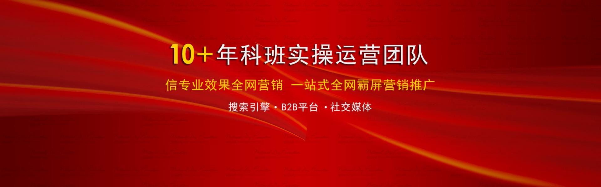 专业营销推广团队(专业营销推广团队线下)