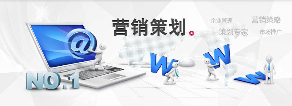 网络营销策划案(网络营销策划书案例)