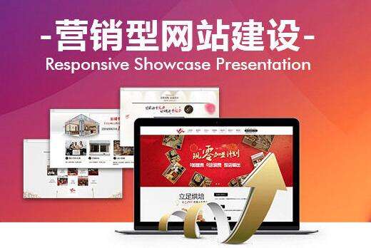 网站营销(营销型网站)
