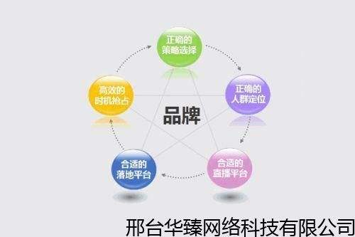 品牌营销系统(品牌营销系统一览表)