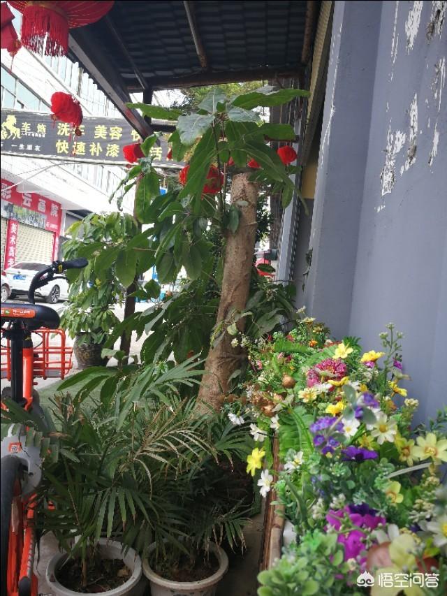 餐饮店如何做营销策划
:做餐饮策划营销应该注意哪几点？